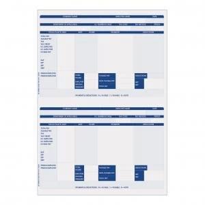 Image of Iris Compatible A4 Payslip 2 per Sheet 1 x Pack of 1000 Payslips FY95