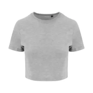 Image of AWDis Just Ts Womens Girlie Tri-Blend Cropped T-Shirt (XS) (Heather Grey)