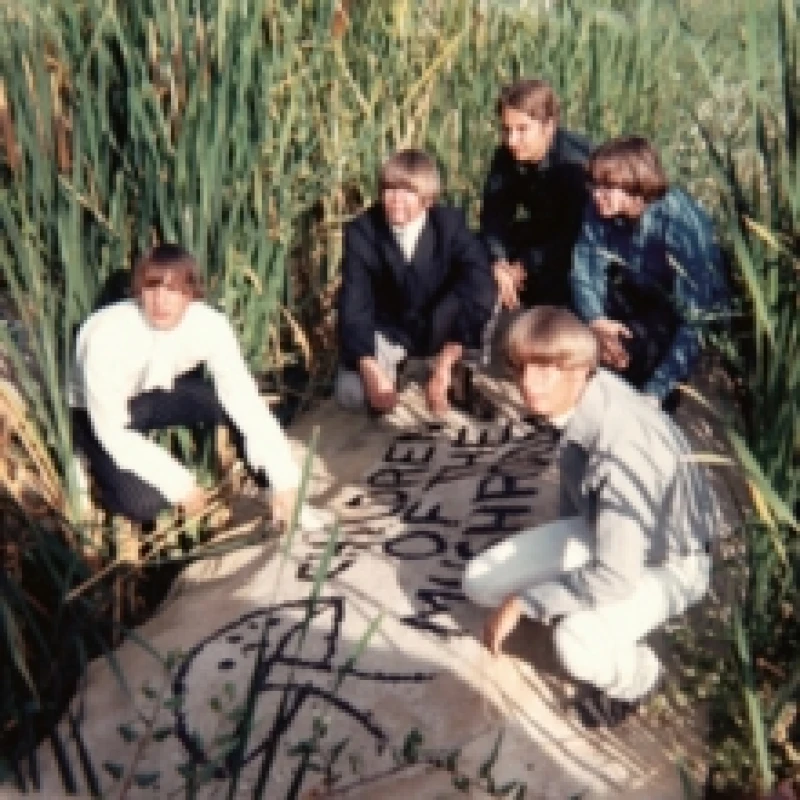 Image of Children of the Mushroom Vinyl