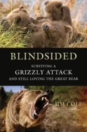 Image of Blindsided by Jim Cole
