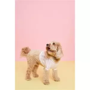 Image of I Saw It First Pink Stripe Jersey Dog Hoodie - Pink