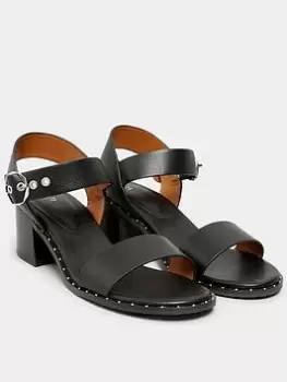 Image of Long Tall Sally Stud Rand Block Heel - Black, Size 11, Women