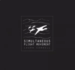 Image of Simultaneous Flight Movement by Laura Cannell CD Album