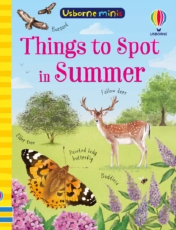 Image of Things to Spot in Summer Paperback / softback