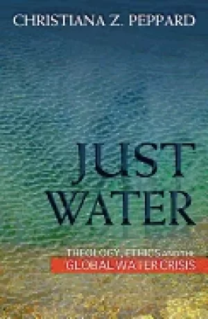 Image of just water theology ethics and the global water crisis