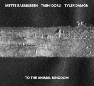 Image of To the Animal Kingdom by Tashi Dorji, Mette Rasmussen, Tyler Damon CD Album