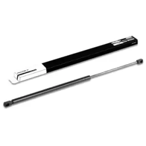 Image of RIDEX Tailgate strut both sides 219G0233 Gas spring, boot- / cargo area,Boot struts RENAULT,LAGUNA I (B56_, 556_)