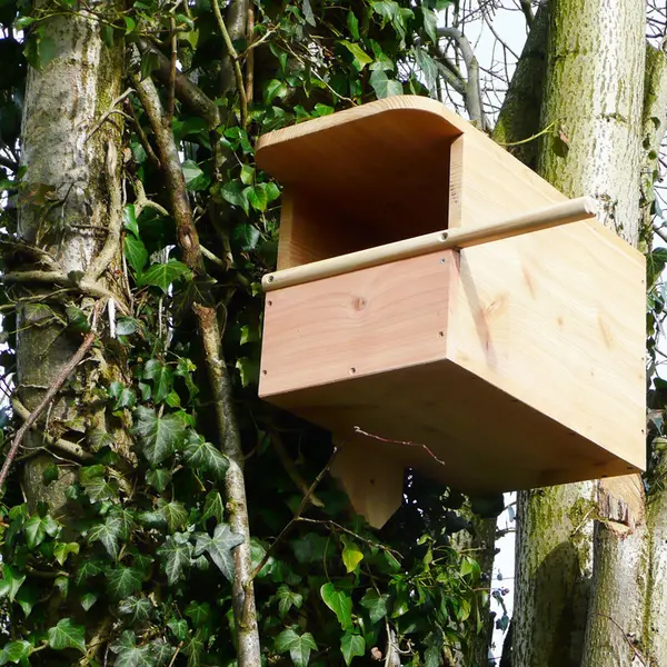 Image of WILDLIFE WORLD LTD Kestrel Box WildlifekestrelboxKB