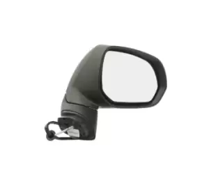 Image of RIDEX Wing mirror CITROEN 50O0893 Outside mirror,Side mirror,Door mirror,Side view mirror,Offside wing mirror