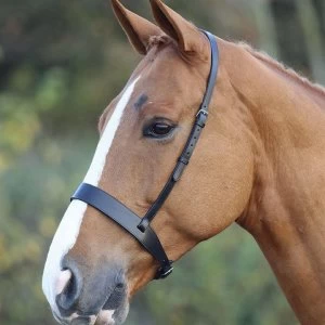 Image of Blenheim Blenheim Noseband - Black