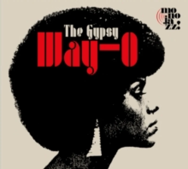 Image of The Gypsy Way-o Vinyl