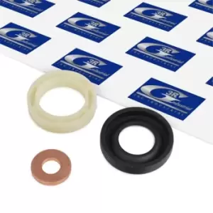 Image of 3RG Gaskets 83247 Seal Kit, injector nozzle PEUGEOT,CITROEN,MINI,206 Schragheck (2A/C),206 CC (2D),207 (WA_, WC_),307 SW (3H),307 (3A/C),407 SW (6E_)