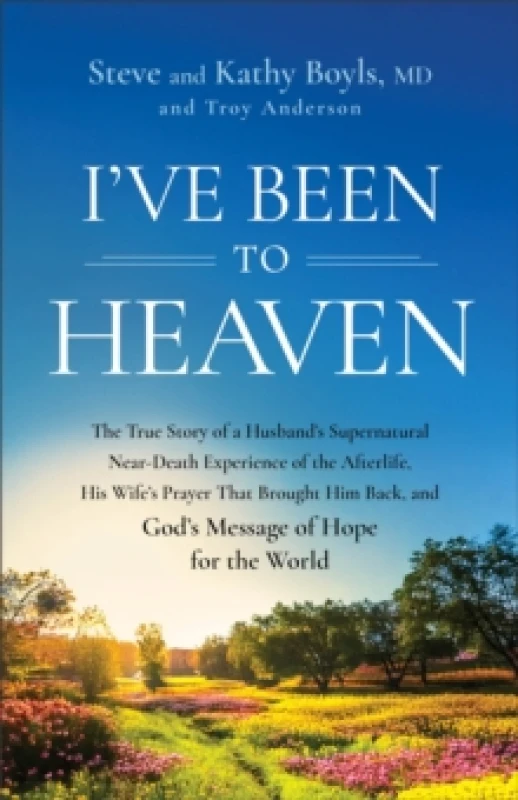 Image of I've Been to Heaven. Paperback. By Steve Boyls, Kathy Boyls, Troy Anderson Books