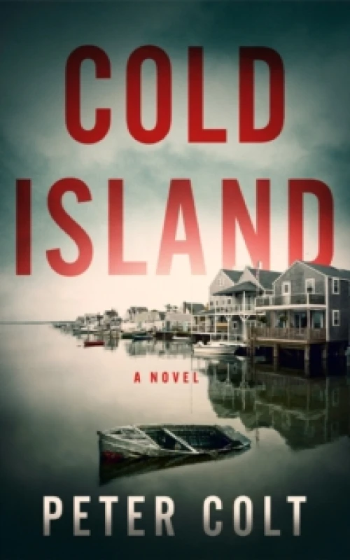 Image of Cold Island : A Novel Paperback / softback