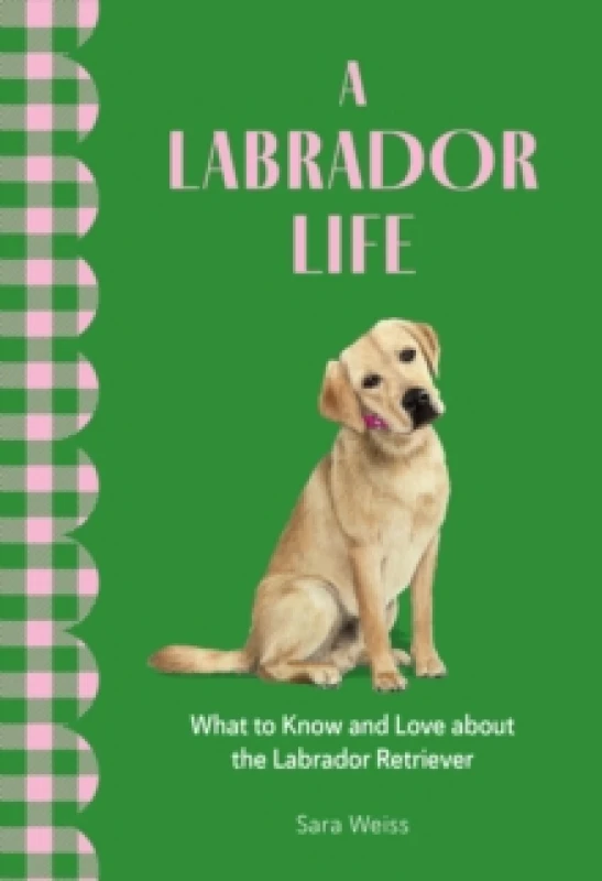 Image of A Labrador Life : What to Know and Love About the Labrador Retriever Hardback
