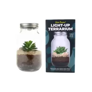 Image of Light Up Terrarium