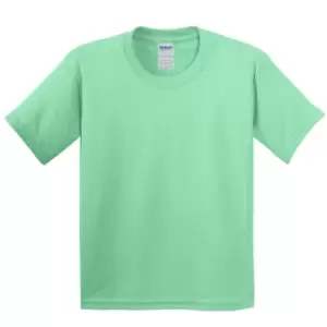Image of Gildan Youth Unisex Heavy Cotton T-Shirt (M) (Mint Green)