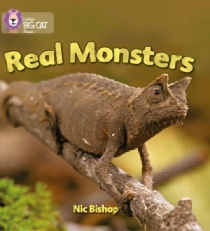 Image of Nic Bishop Real Monsters Book Multi unisex