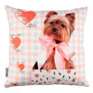 Image of A10801 Multicolor Cushion