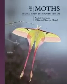Image of The Lives of Moths : A Natural History of Our Planet's Moth Life