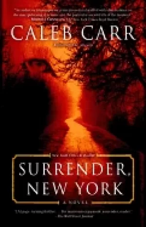 Image of surrender new york a novel