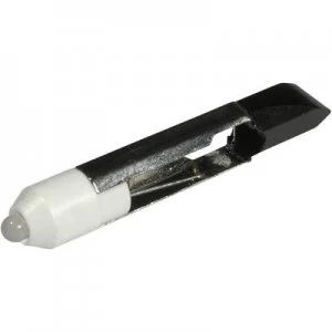 Image of LED bulb T 6.8 Cold white 24 Vdc 24 V AC 900 mcd CML