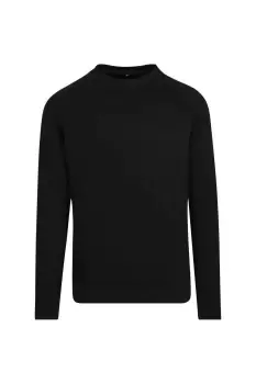 Image of Raglan-Sleeved Crew Neck Sweat