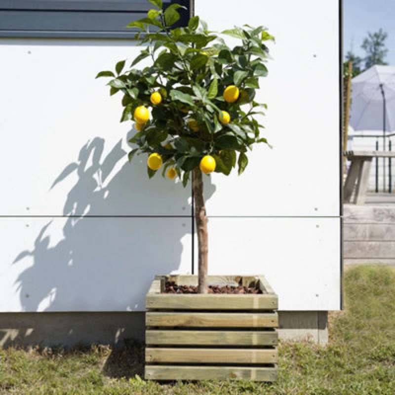 Image of Cerland Kub Outdoor Square Wooden Planter 40Cm