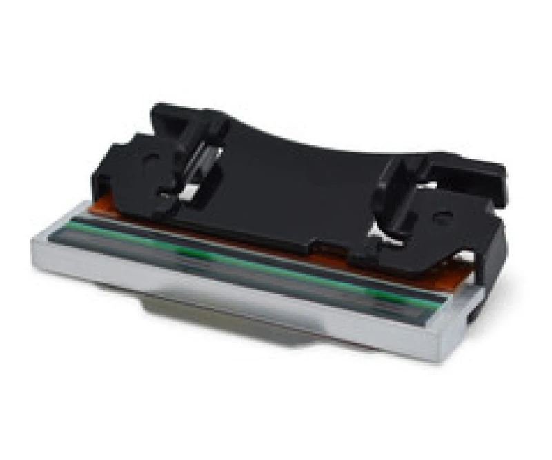 Image of Zebra print head. kit