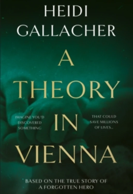 Image of A Theory in Vienna Paperback / softback