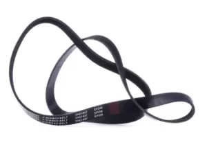 Image of RIDEX V-ribbed belt OPEL,RENAULT,NISSAN 305P0408 1172000Q4A,1172000Q5G,93165542 117206599R,117208314R,4420655,8200803446,93165542