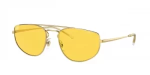 Image of Ray-Ban Sunglasses RB3668 001/Q1