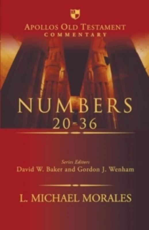 Image of Numbers 20-36 Hardback