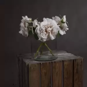 Image of White Short Stem Rose