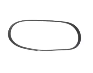 Image of RIDEX V-ribbed belt RENAULT 305P0548 7700856107,7701064340,8200493939 Serpentine belt,Auxiliary belt,Poly V-belt,Ribbed belt,Multi V-belt,Poly belt