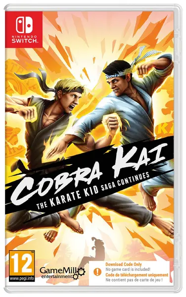 Image of Cobra Kai The Karate Kid Saga Continues Nintendo Switch Game