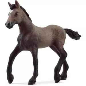 Image of Paso Peruano Foal