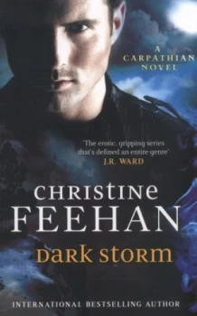Image of Dark storm by Christine Feehan
