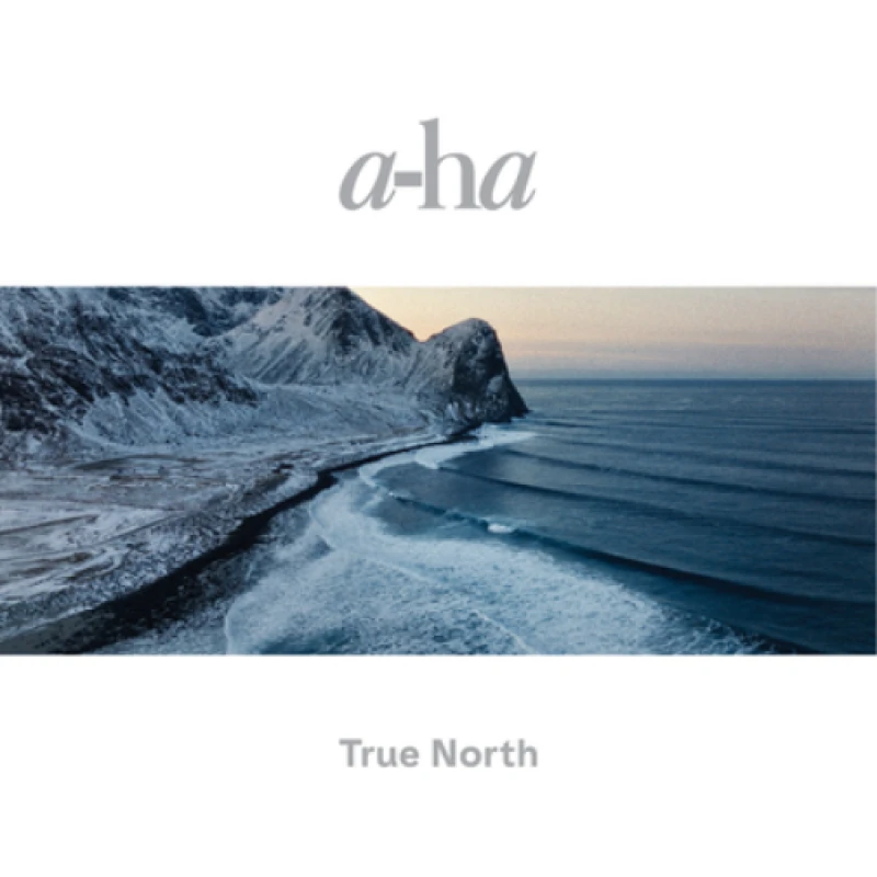 Image of a-ha True North 2LP Black unisex