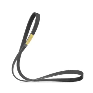 Image of RIDEX V-ribbed belt 305P0501 Serpentine belt,Auxiliary belt BMW,RENAULT,FIAT,7 (E38),CLIO II (BB0/1/2_, CB0/1/2_),KANGOO (KC0/1_)