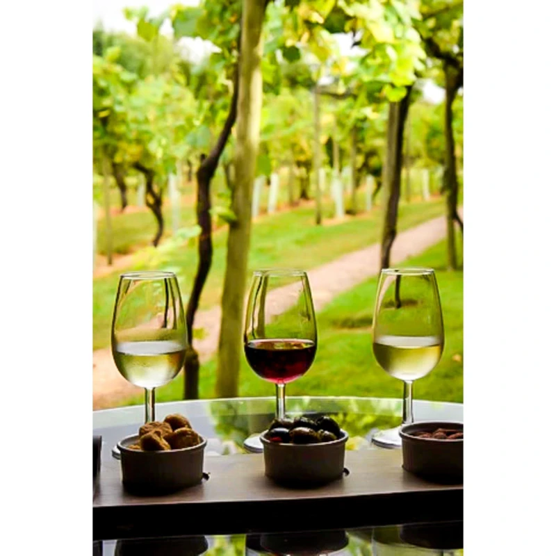 Image of Activity Superstore Vineyard & Distillery Tours & Tastings None unisex One Size