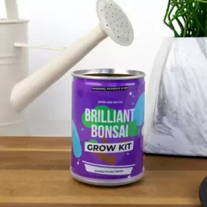 Image of Grow Tin - Brilliant Bonsai