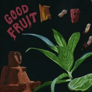 Image of Good Fruit by TEEN CD Album