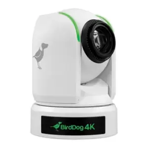 Image of BirdDog P4K 4K NDI PTZ Camera (White)