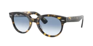 Image of Ray-Ban Sunglasses RB2199 Orion 13323F