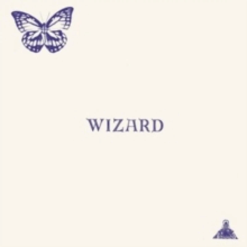 Image of Wizard Vinyl