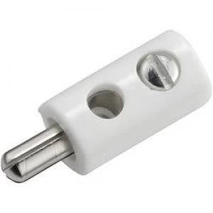 Image of Mini jack plug Plug straight Pin diameter 2.6mm White