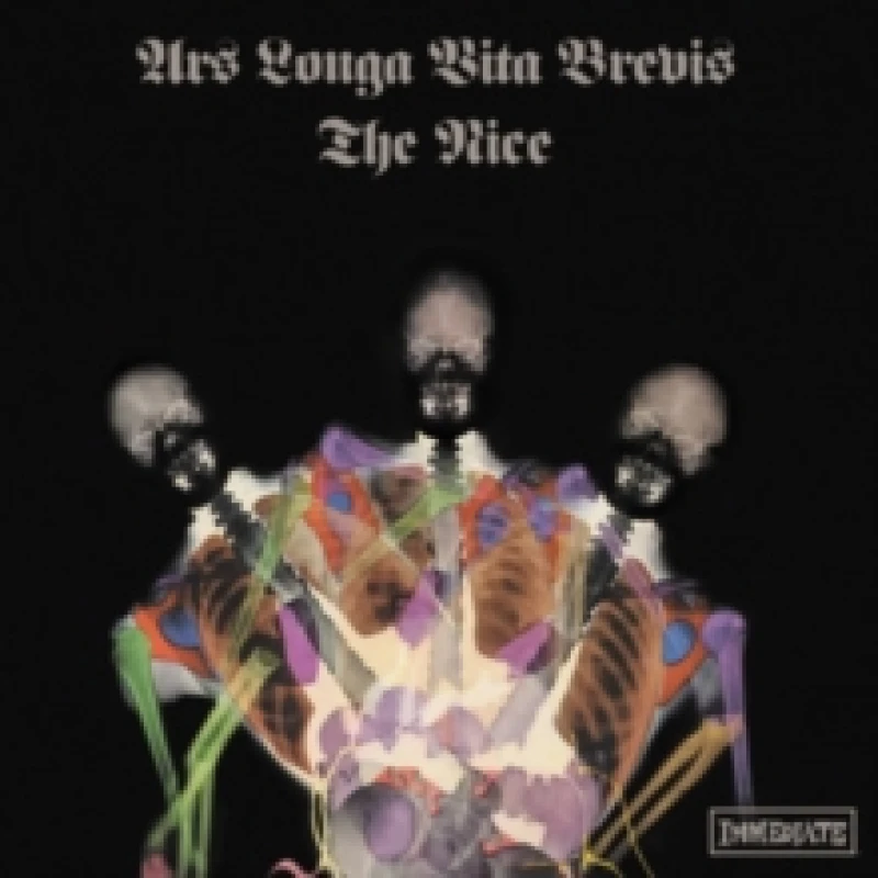 Image of Ars Longa Vita Brevis Vinyl
