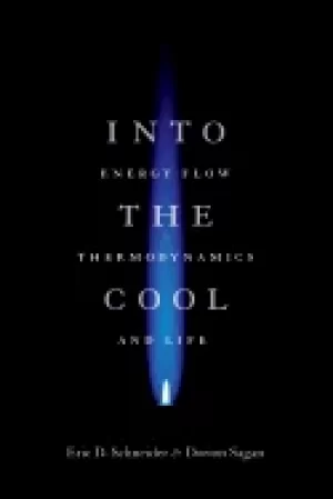 Image of into the cool energy flow thermodynamics and life