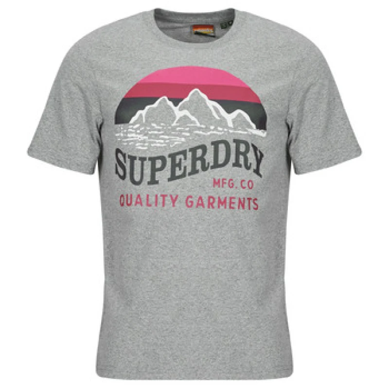Image of Superdry Classic casual T-Shirt Superdry Great Gris Male L